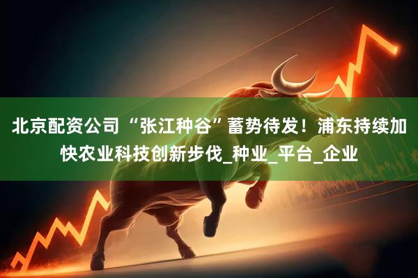 北京配资公司 “张江种谷”蓄势待发！浦东持续加快农业科技创新步伐_种业_平台_企业